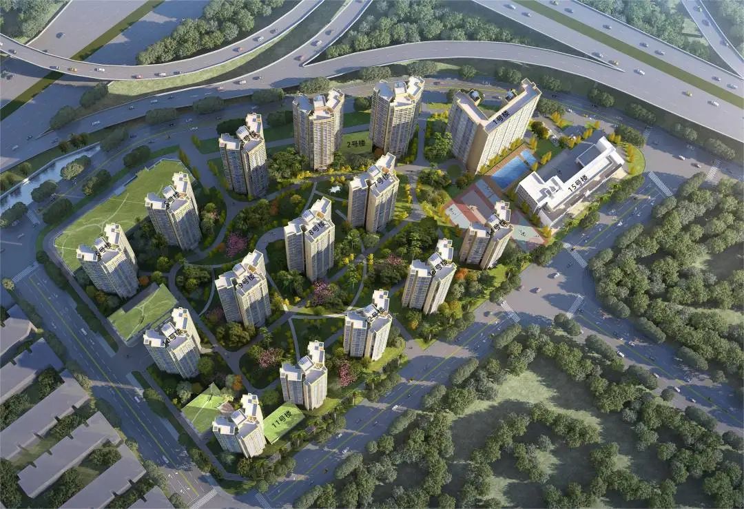 1703129202439376.jpg 18.jpg