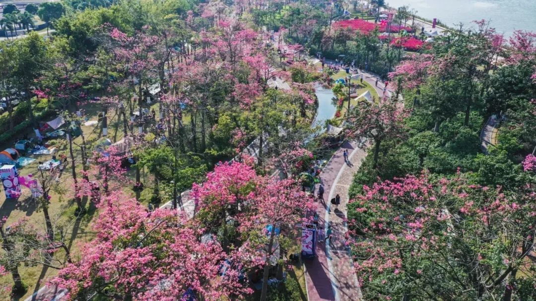 1721010909634774.jpg 1.jpg