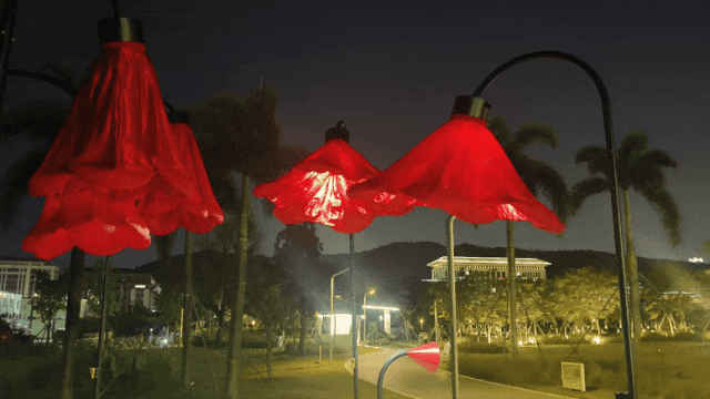 1728896907107092.gif 26.gif