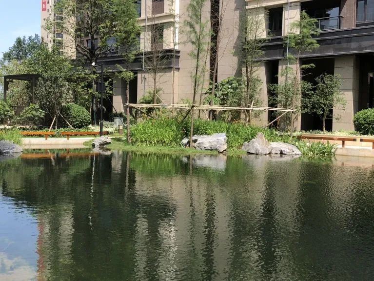 1742371843633361.jpg 8.jpg